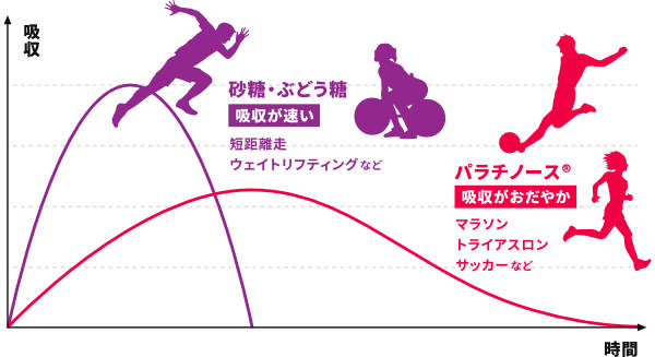 カステラ スポーツ選手 運動 栄養補給食 個包装